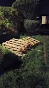 Pallets free