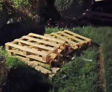 Pallets free