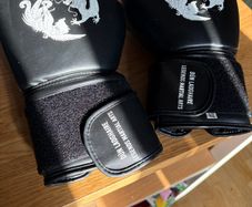 Martial Gloves 10oz