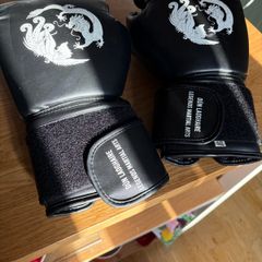 Martial Gloves 10oz