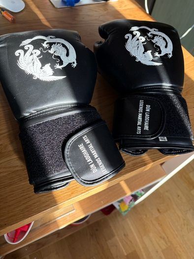 Martial Gloves 10oz