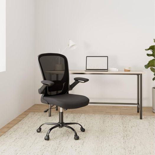 Home Office and Student chair (have 2)
