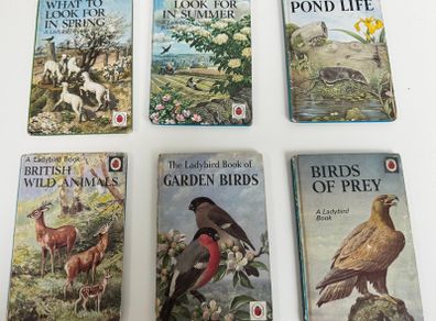 Collection of 6 vintage Ladybird nature books