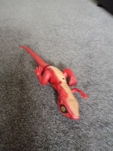 Portable Lizard