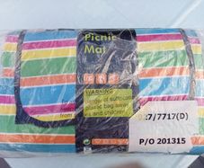 Striped Picnic Mat (BNIB)