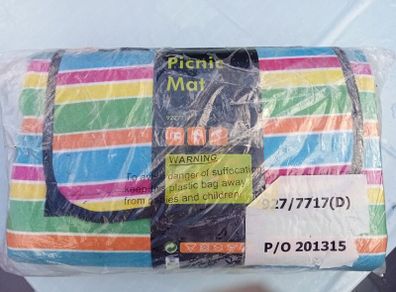 Striped Picnic Mat (BNIB)