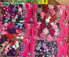 Seeds flowers