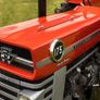 Massey Ferguson 175 (fully restored) Image 2