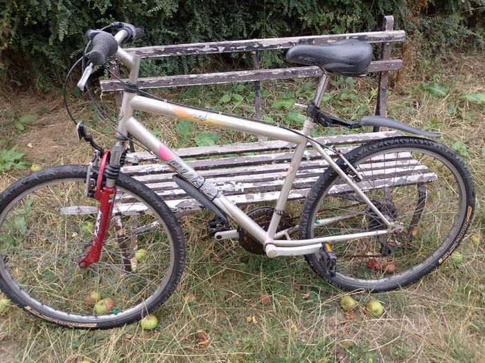 Men's mountain bike