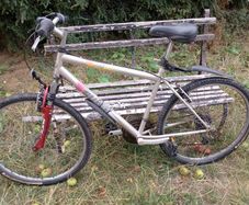 Men's mountain bike