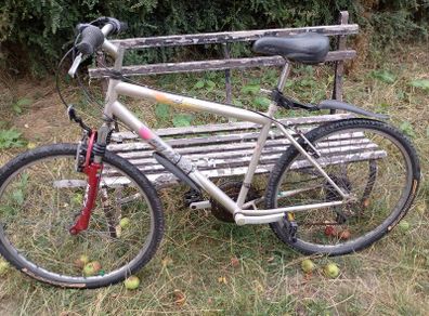 Men's mountain bike