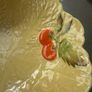Carlton Salad Bowl Image 2