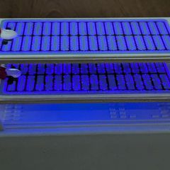 Ozone generator module 220v 24g/h
