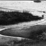 Kodak Plus-X Pan Panchromatic 100ft 35mm film and developing tank Image 4
