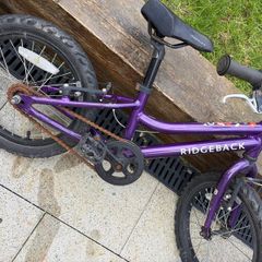 Ridgeback MX16
