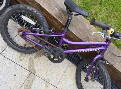 Ridgeback MX16