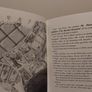 Flora and Ulysses: The Illuminated Adventures Hardback book Image 7