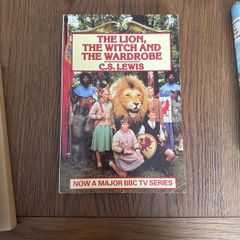 The Lion The Witch & The Wardrobe (BBC Series)