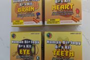 Set of 4 Human Biology box kits