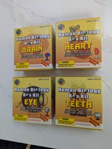 Set of 4 Human Biology box kits