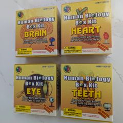 Set of 4 Human Biology box kits