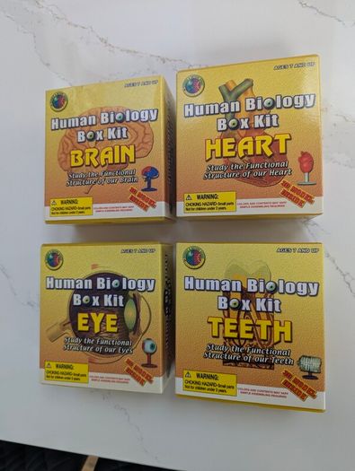 Set of 4 Human Biology box kits