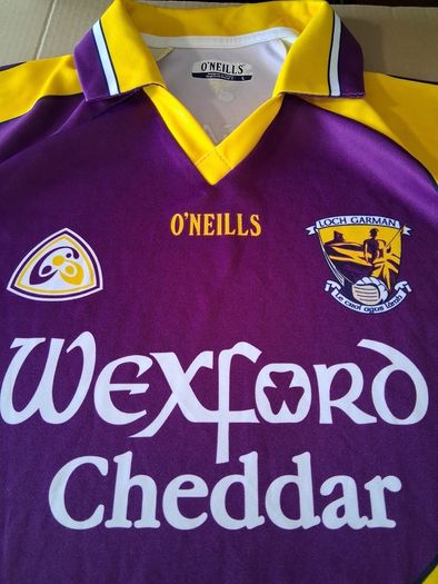 Wexford GAA Jersey. Official Oneills Wexford Mens Home County Jersey. Authentic Original From 2006. Not A Modern Day Remake.