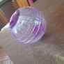 hamster ball Image 3