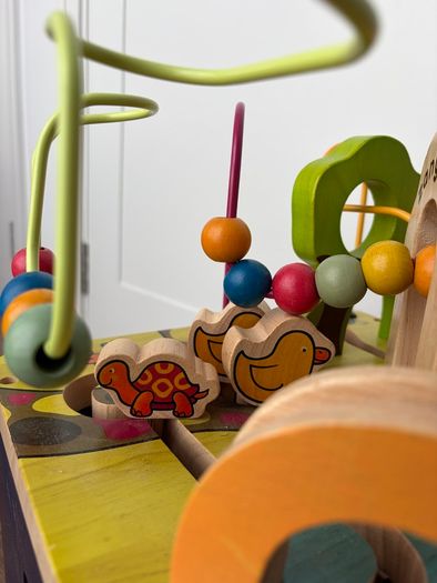 Zany Zoo Wooden Activity Cube