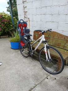 Carrera Womens bike with toddler seat