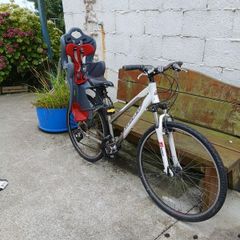 Carrera Womens bike with toddler seat