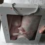 Pink bunny & blanket gift Image 2