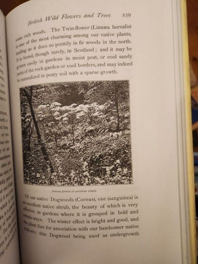 The Wild Garden. By William Robinson. Hardback With Dustjacket In Good Condition.