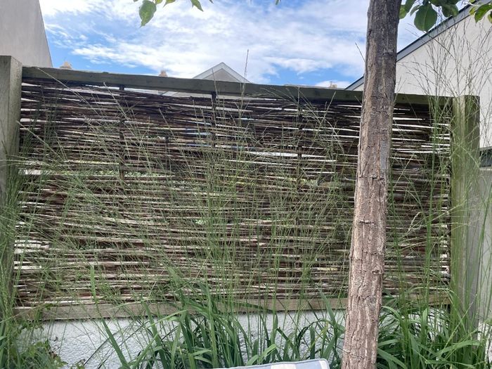willow fence