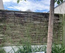 willow fence