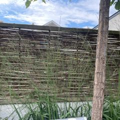 willow fence