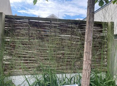 willow fence