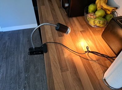 New HeatLamp & 2 bulbs