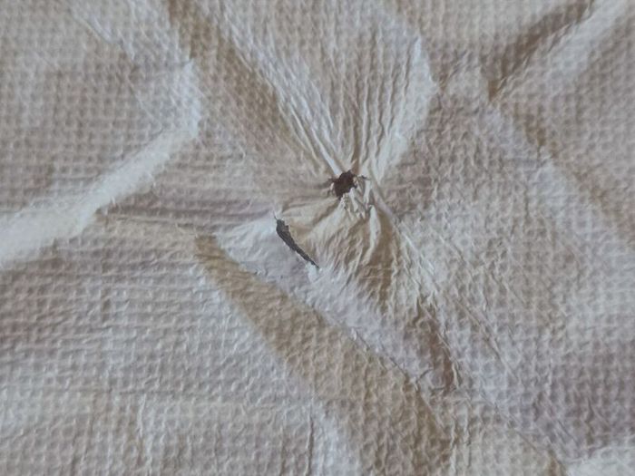 Double duvet protector waterproof - 2 available