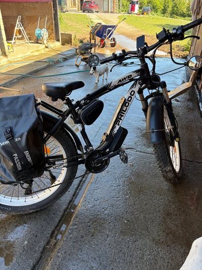 Electric cargo bike