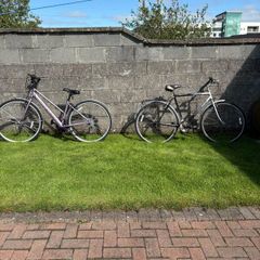 Ladies and gents bikes