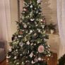christmas tree Image 2