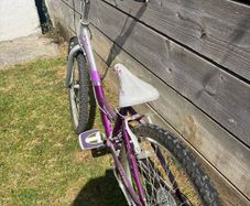 kids Raleigh bike