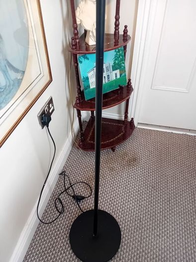 black habitat floor lamp