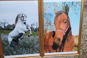 Large Vintage Equestrian Pictures