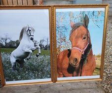 Large Vintage Equestrian Pictures