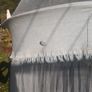 Blue Mosquito Net Image 2