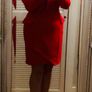 Red Blazer Dress Image 5