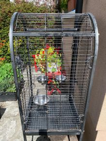 bird cage