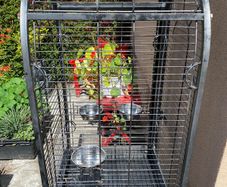 bird cage